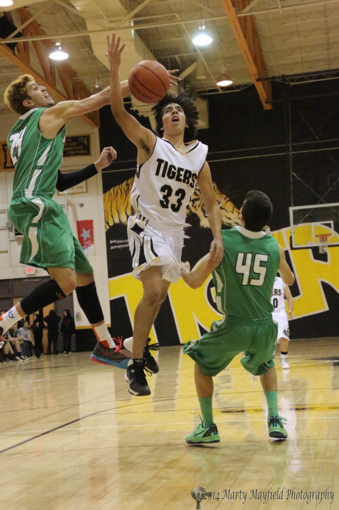 Matthew Herrera got a hand on the ball as Tiger Anthony Brown moved to the basket 