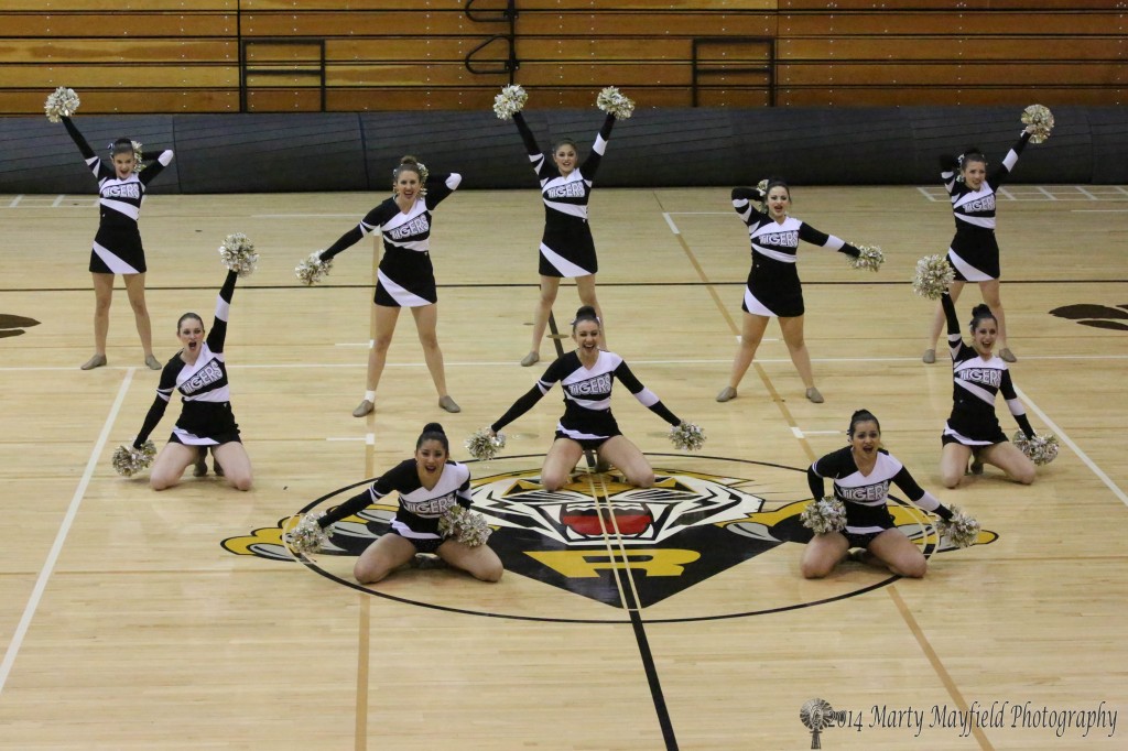 The RHS Tiger Cats Dance Team performs their state Spirit Competition routine at Tiger Gym Tuesday night in front of an enthusiastic crowd.