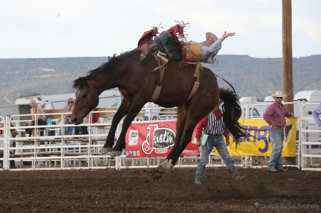 The horses make it look so acrobatic as they attempt to put the cowboy on the ground.