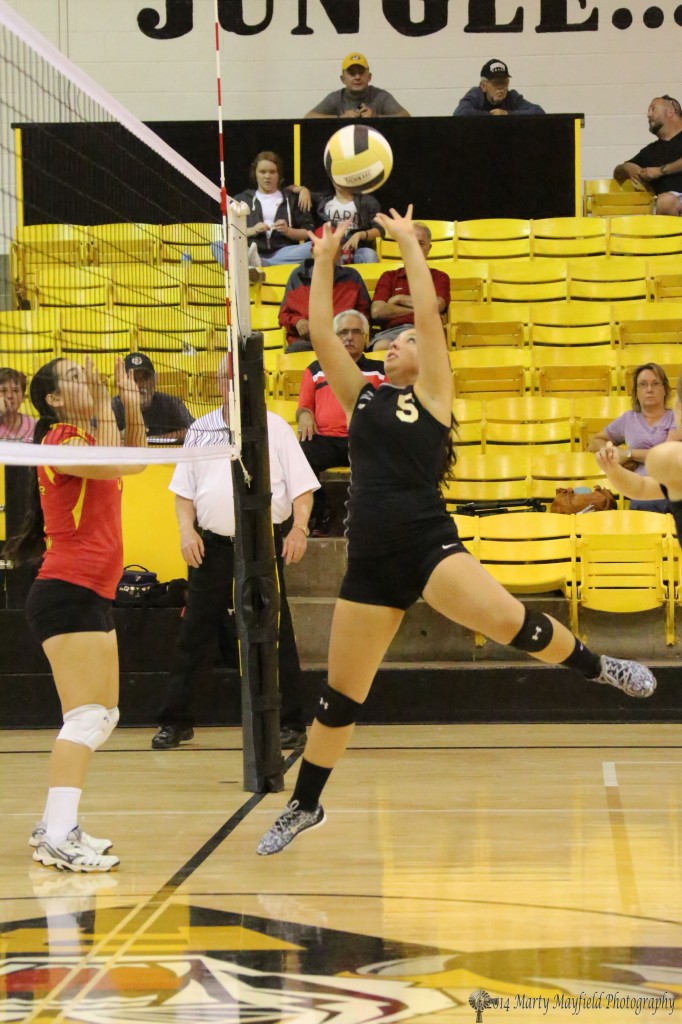 Sophia Madellini goes for the set Saturday afternoon against Espanola Valley