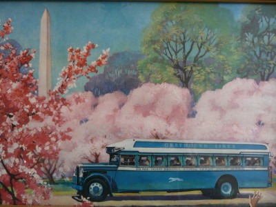 This is a vintage art print depicting a Greyhound bus with passengers, near the Washington Monument, during cherry blossom season in Washington, D.C.  Of interest, is the waving hand in the bottom right-hand corner.