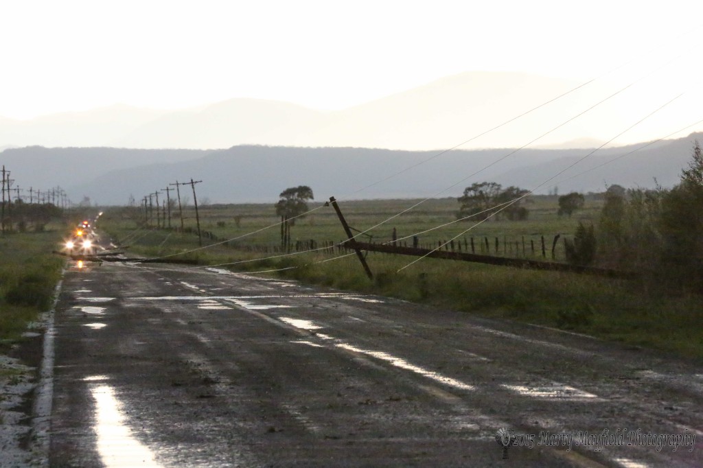 Very strong straight line winds downed these 3-phase power poles a mile west of Maxwell on Highway 505. 