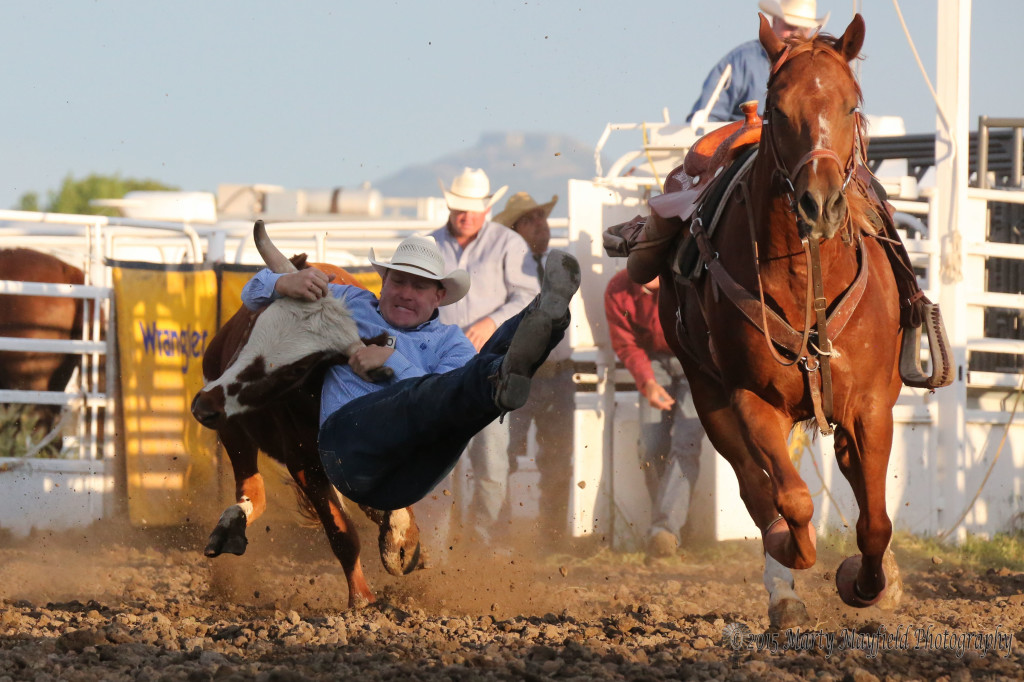 Kyle Broce takes this steer in the steer wrestling event of the Raton Rodeo