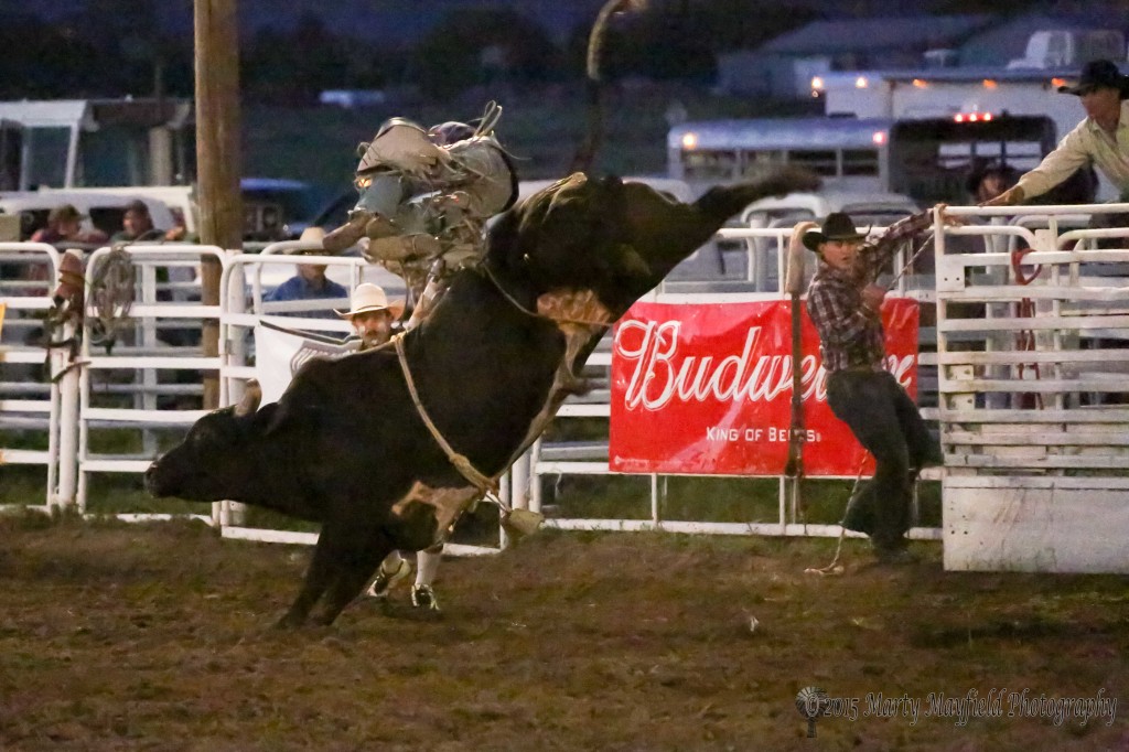 Brian Larsen finds himself airborne as this bull continues his no ride winning streak.