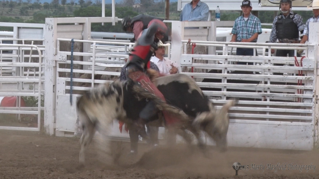 In a blur of action spinning like a top Dan Curtin was the only bull rider to go the distance with and post a 73 score on the evening Saturday