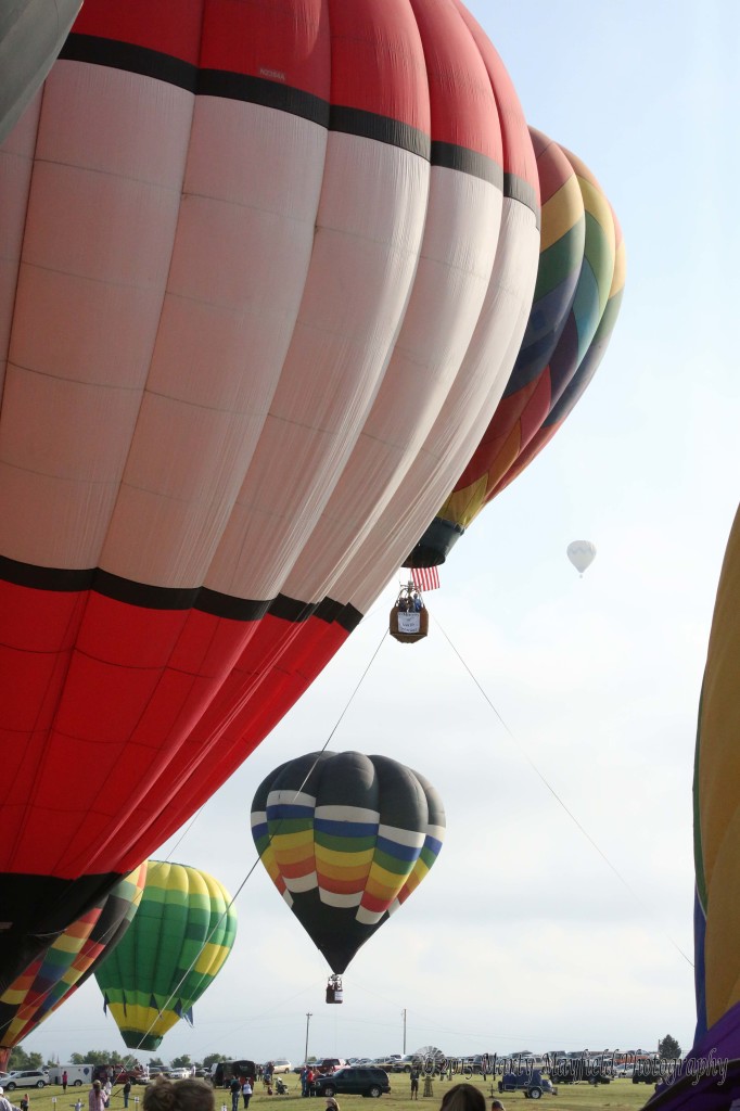 Most balloons stayed on the ground Friday morning due to sky conditions and offered tethered rides.