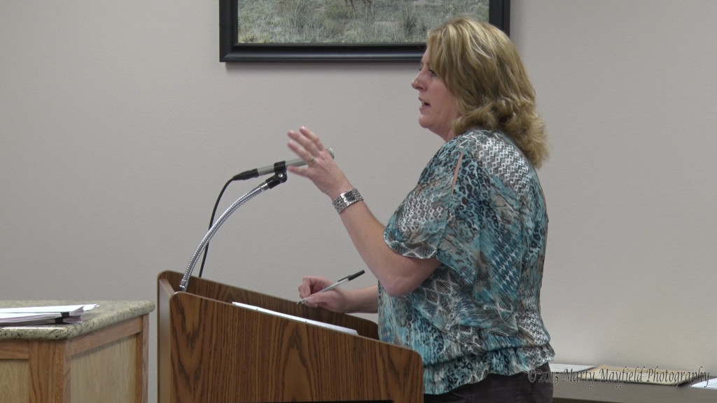Michael Anne Antonucci went over the financial reports with commissioners Tuesday evening.