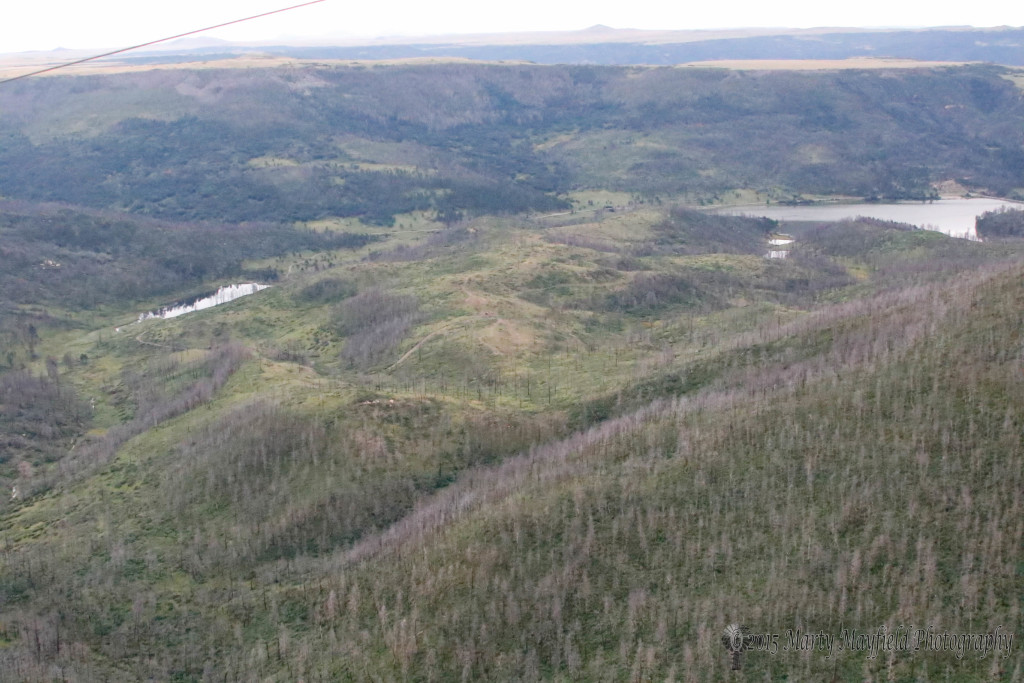 After the 2011 Track Fire the area around Lake Maloya is green with new growth.