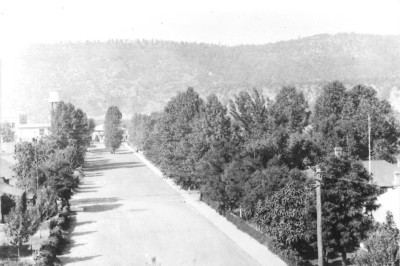 Street leading to Emagene Saracino's home in Dawson