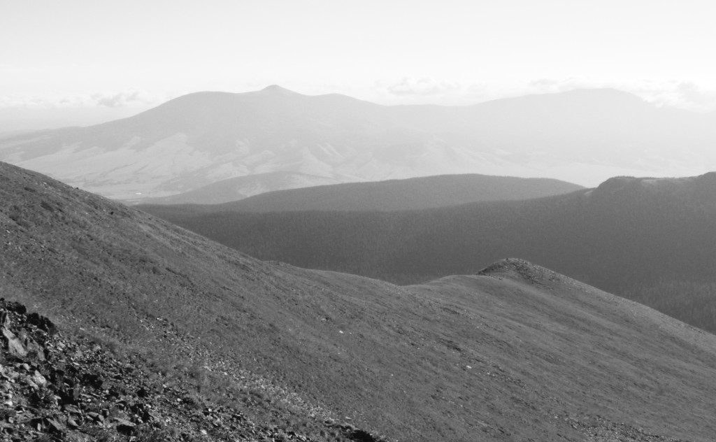 above tree line and looking out at the view.  Photos by Tom Macedo.