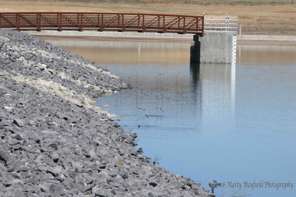 The new dam at the Springer Reservoir is more solidly built and meets the new dam regulations