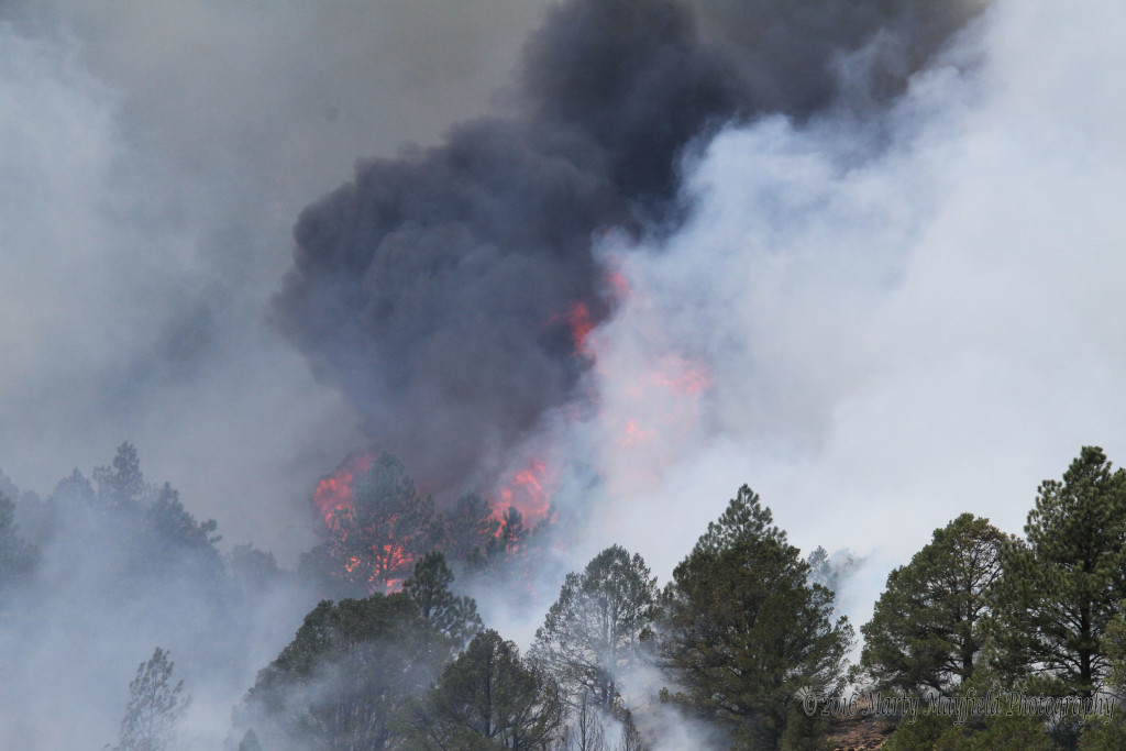 Black Smoke billows high as tinder dry brush explodes in flames during the June 2011 Track Fire