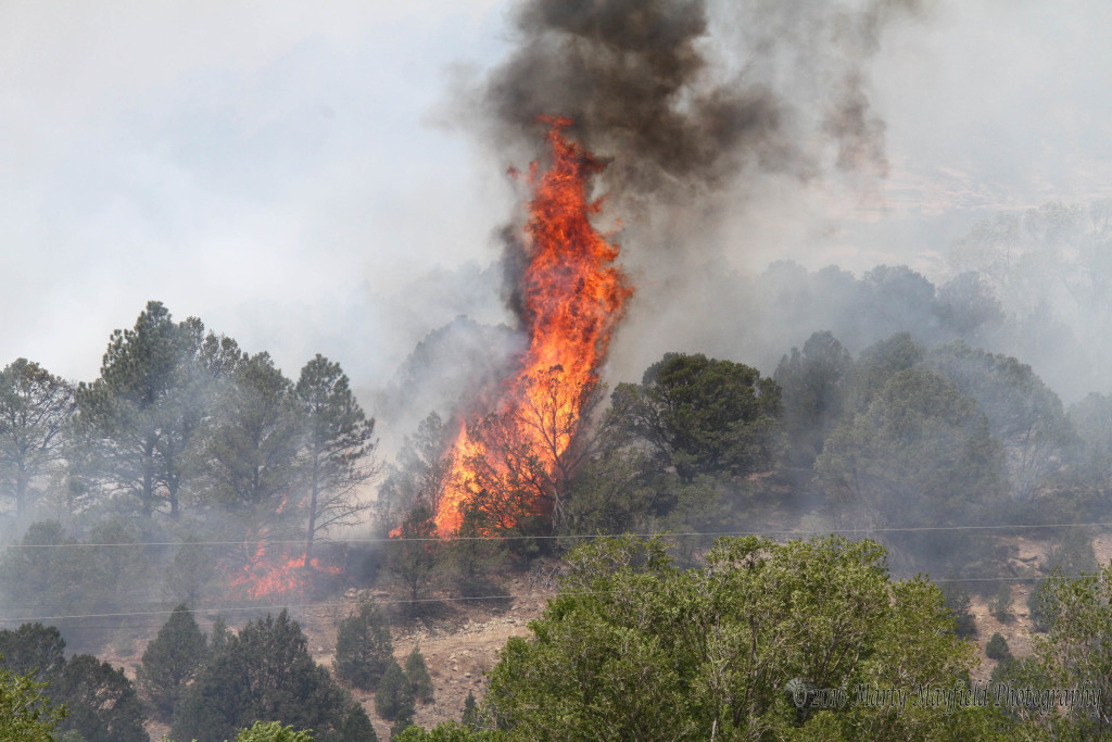 The fire jumped and moved erratically driven by erratic canyon winds just west of Raton that Sunday afternoon in June