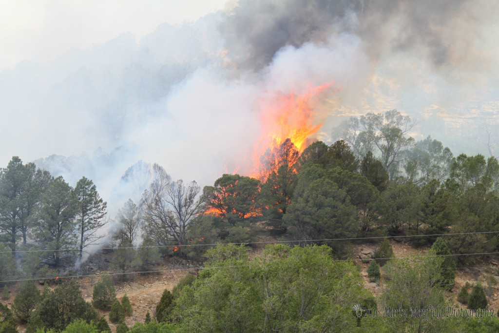 The Track Fire moved quickly in the tinder dry brush and by late afternoon had even jumped the wide expanse of I-25 which had been shut down because of the fire. The interstate would remain closed for a couple of days hampering travel to Colorado that summer.