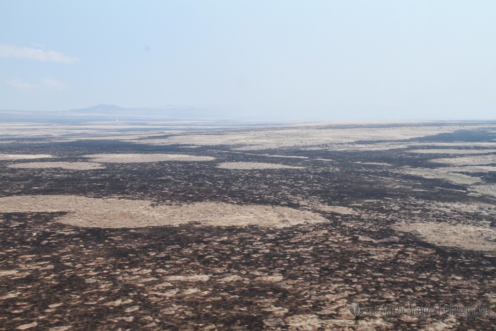 The top of Bartlett Mesa just north of Raton shows the burn area of the Track Fire in 2011 