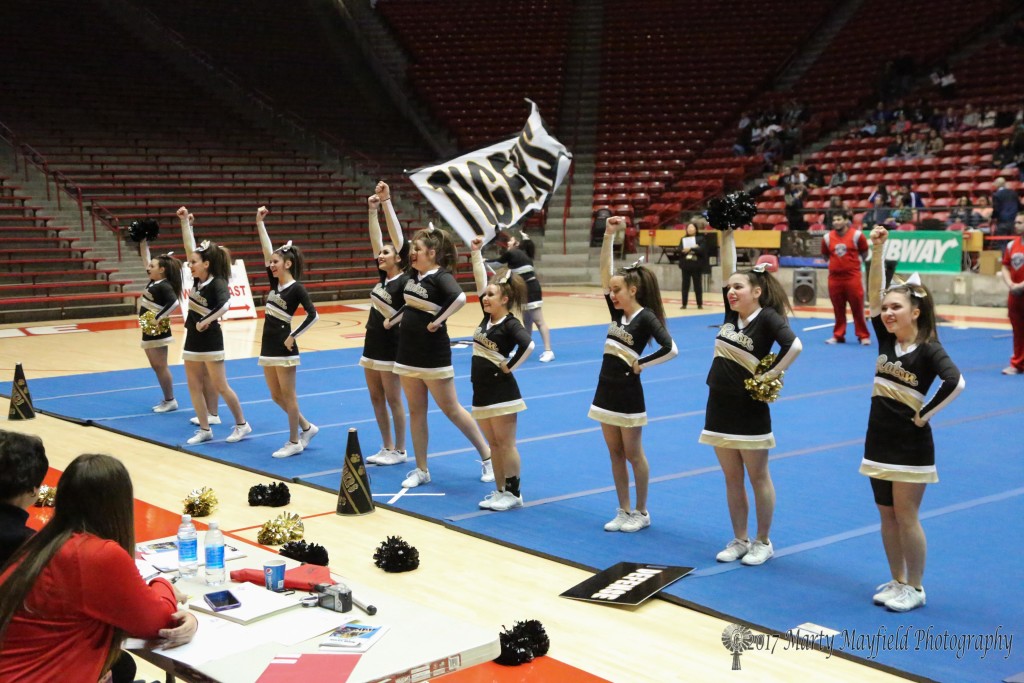 RHS Cheer in the PIT at UNM in Albuquerque at the State Spirit Competition Friday morning.