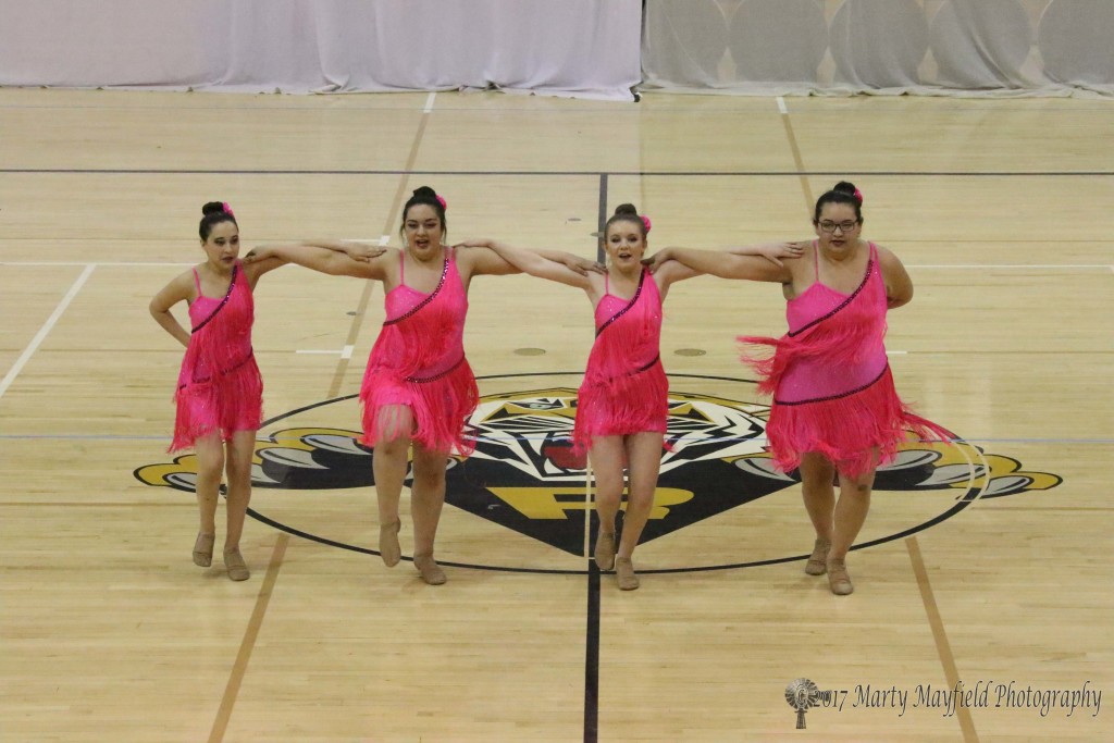 RHS Tiger Cats Dance team Jazz routine for the state spirit competition.