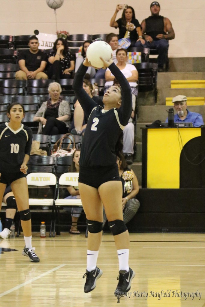 Natausha Ortega sets the ball for Raton as they take on Clayton in Tiger Gym for the Volleyball Homecoming match. 