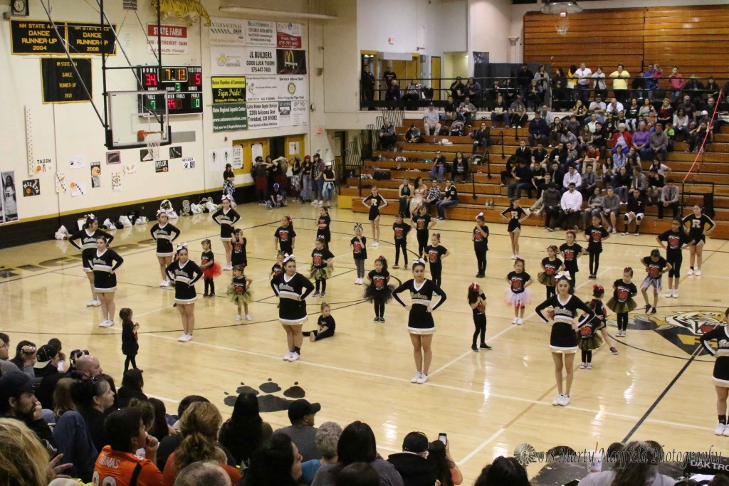 65 little girls joined the RHS Cheer squad to perform during the TigerFest halftime.
