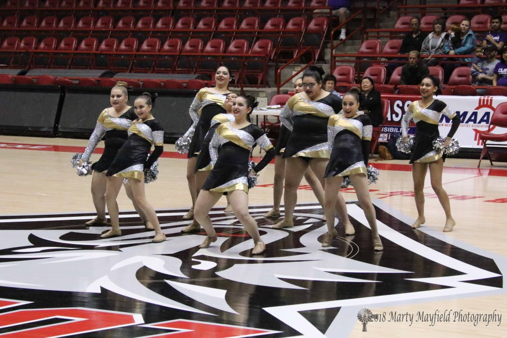 RHS Tiger Cats Dance performed first Friday morning at the State Spirit competition in The Pit on the UNM Sports Complex. 