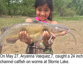 New Mexico fishing and stocking reports for June 19, 2018 – KRTN Enchanted  Air Radio