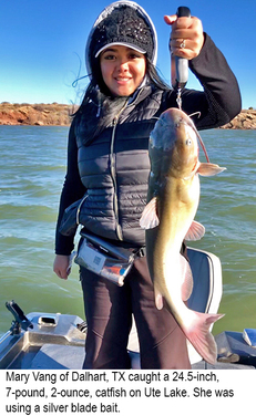 New Mexico fishing and stocking reports for November 27, 2018 – KRTN  Enchanted Air Radio