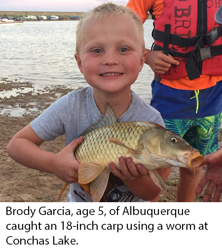 New Mexico fishing and stocking reports for July 9, 2019 – KRTN Enchanted  Air Radio