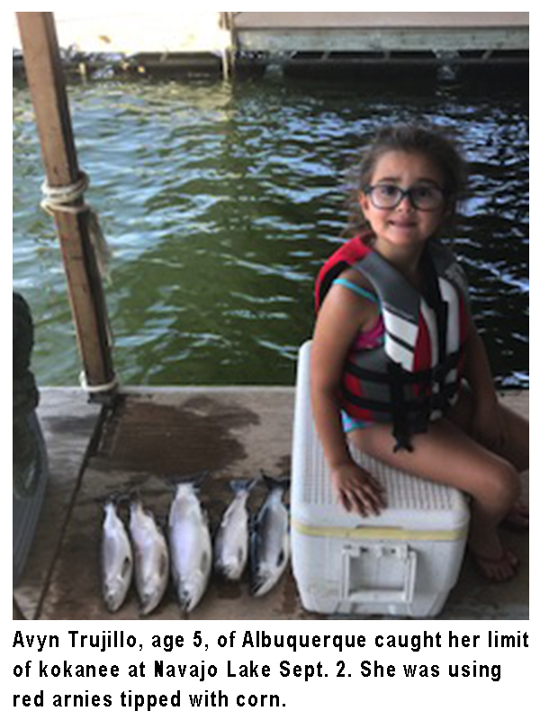 New Mexico fishing and stocking reports for September 3, 2019 – KRTN  Enchanted Air Radio