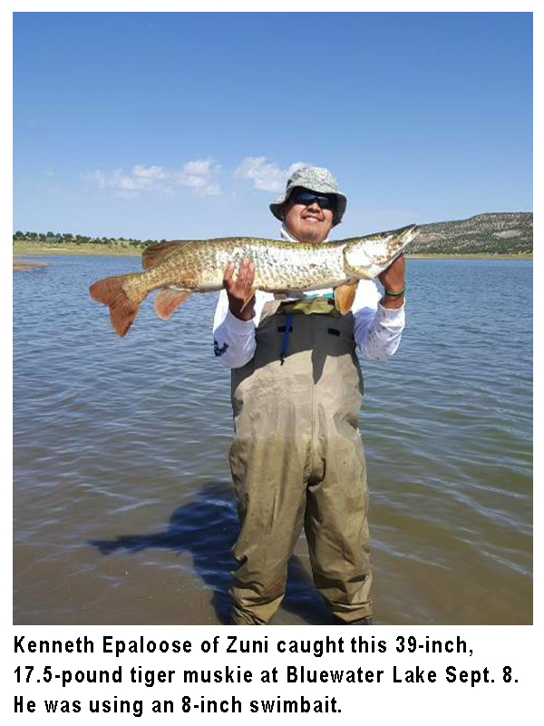 New Mexico fishing and stocking reports for September 17, 2019