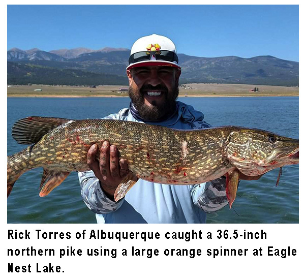 New Mexico fishing and stocking reports for September 29, 2020 – KRTN  Enchanted Air Radio