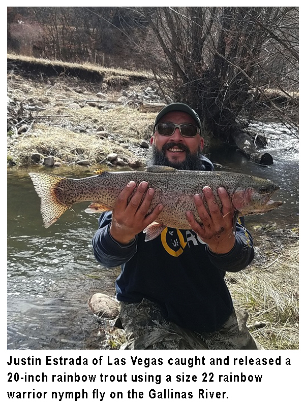 New Mexico fishing and stocking reports for April 6, 2021 – KRTN Enchanted  Air Radio