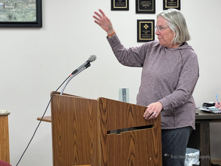 Raton Commission Hears Good Audit Report 13 GRT Estimate Increase 
